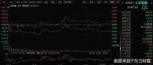 沪指失守3200点：小李的股市沉思录