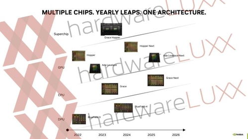 深入解读：英伟达RTX50系显卡的革新与未来