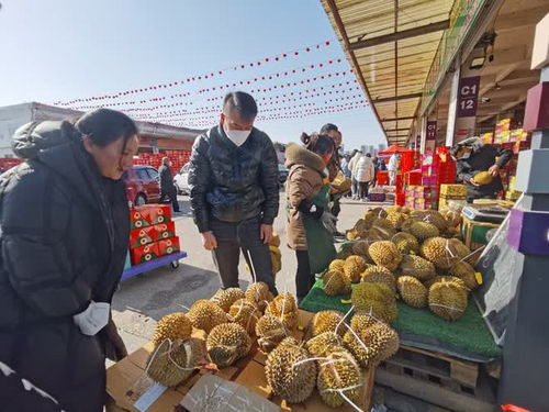 年货市场迎来产销两旺：我眼中的热闹与商机