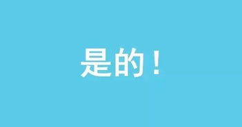 反思与成长：民众党高层陈智菡的2024年选举遗憾