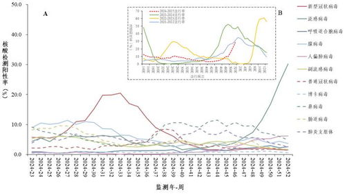 流感季的我：轻松应对，安心生活