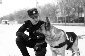 警犬在战友床上尿尿连续4周被通报：背后的故事