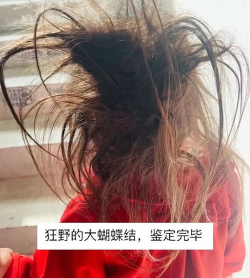 爸妈头发不多但生了个真人版蒙奇奇：基因的奇妙之旅