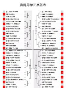 2025澳网公开赛今日开赛：我的观赛之旅