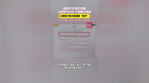 从批评四只警犬看职场生态：一个普通人的思考