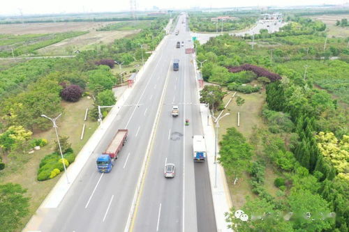 田地变道路，南通一菜地惊现交通信号灯背后