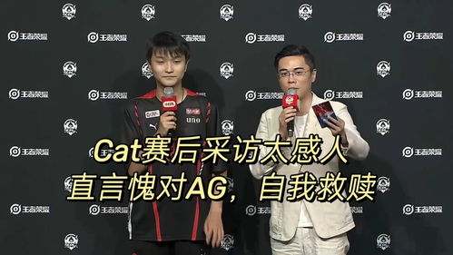 与Cat一诺的奇妙邂逅：一段暖心的故事