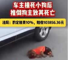 男子被车撞6天后死亡，法院判了：真相背后的思考