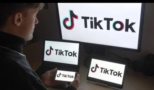 “TikTok 难民”涌入，小红书内部的两种声音