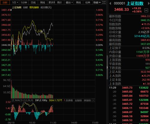 午评：三大指数集体爆发，我见证了一场资本市场的狂欢