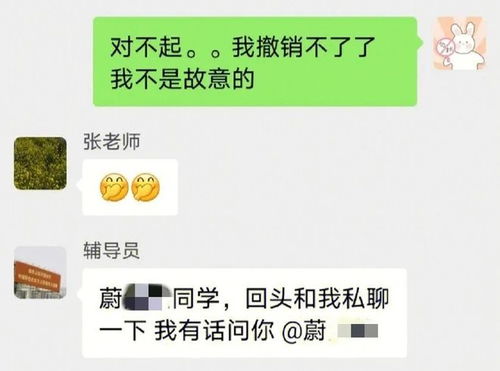 胡歌聊天真不把我们当外人：一场明星与粉丝的温暖对话