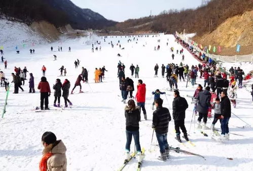 春节寒假看雪玩雪全攻略：我的冰雪奇缘之旅