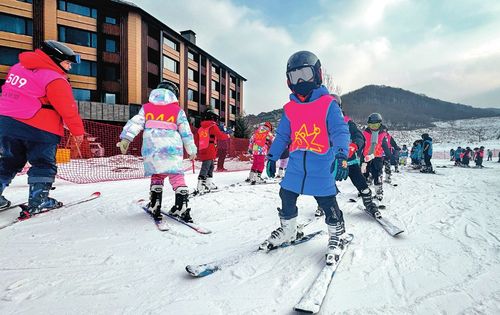 冰雪春天：个人视角下的冰雪产业变革