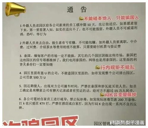 断电断网能否解决缅北电诈？从我亲身经历看真相