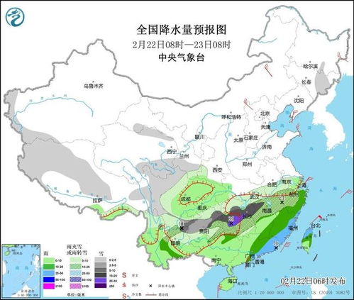 超级大回暖：南方多地将直奔20度，我的温暖之旅