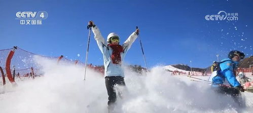 冰天雪地释放无限“热”力：我的极地探险之旅