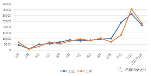 2025，第1个月已过半：我的时光之旅