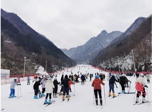 冰雪春天丨借雪生金，“冷资源”激活“热产业”