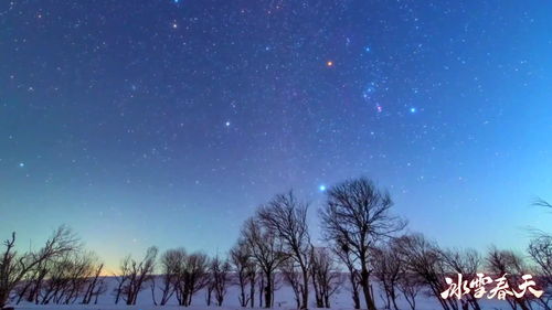 冰雪春天｜冷热交织 冰雪共舞：我的奇幻冰雪之旅