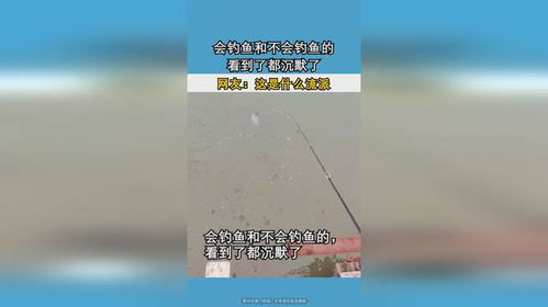 会钓鱼的和不会钓鱼的都沉默了：当对话失去意义