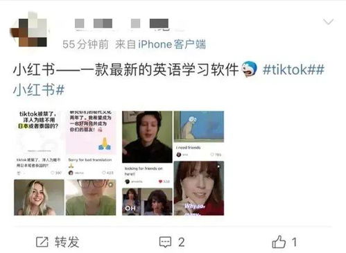 见证历史：美国网友为TikTok办葬礼，文化交融的新篇章