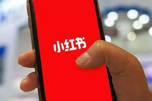 小红书迎全球用户潮：TikTok难民涌入背后