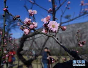 解放军版东风夜放花千树：除夕夜的别样温暖