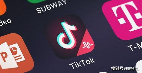 TikTok的14小时生死时速：全球化平台的挑战与坚守