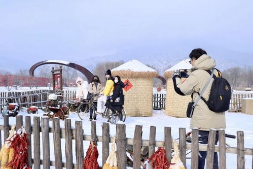 冰雪延庆过大年：一场充满温情与欢乐的冬日盛宴