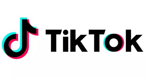 TikTok再续命：出海卖家的挑战与机遇 | 深度解析