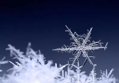 有雪花才是年：一场关于回忆与重逢的旅程