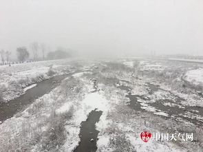 今冬最强雨雪来袭：我的亲身经历与应对