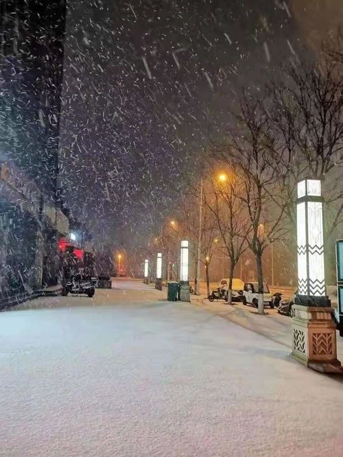 郑州下雪：初冬的银色浪漫