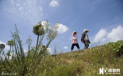 从深圳到衡阳：12天400公里的徒步归乡之旅