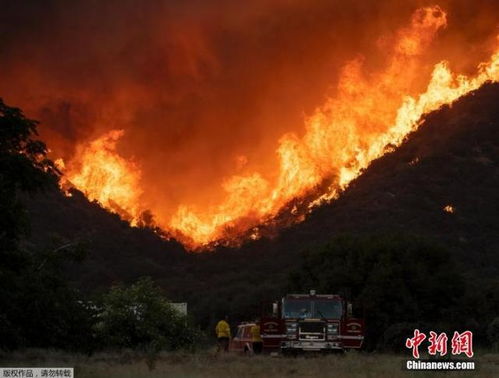 亲历美加州山火：1.9万人紧急疏散背后的惊心动魄