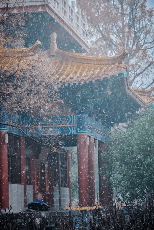 洛阳迎来漫天大雪：一场冬日的诗意盛宴