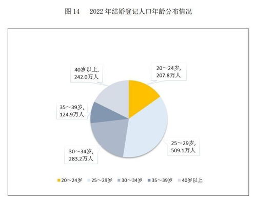 25至29岁未婚人数过半：我的单身生活与社会现象