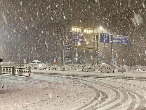 郑州大暴雪：雪中的温暖与坚韧