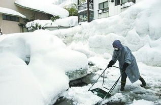 亲历暴雪封门：陕西蓝田县的白色世界