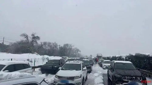 返乡者因暴雪被困高速20小时：我的惊魂之旅