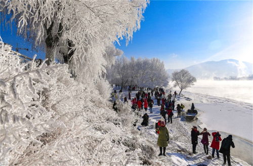 西安的雪下出东北的气势：一场冬日奇景