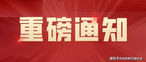 餐馆老板的“尴尬喜报”：共情普通人的不甘与慰藉