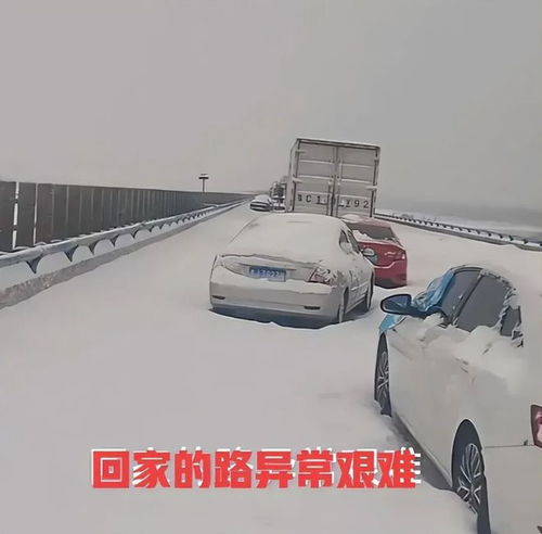 女子自驾返乡遇暴雪开6场直播问路：一场冰雪中的温暖守望