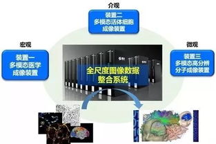 见证生命奥秘的钥匙：多模态跨尺度生物医学成像设施通过验收