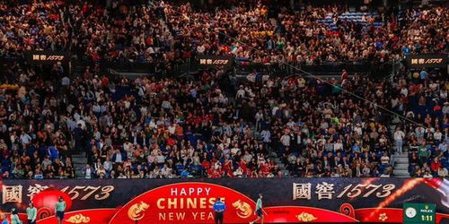 队员们庆祝胜利的瞬间