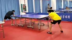乒乓球训练中的场景