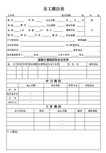 简历表格示例