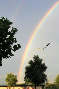 雨后的天空出现了一道美丽的彩虹