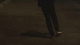 猫爷搞笑走猫步