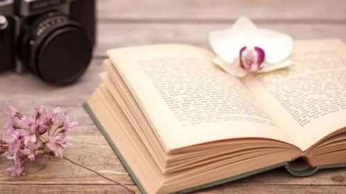 一个人安静地阅读